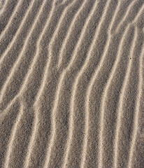 Fototapeta na wymiar Sand dune ripples