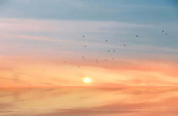 pink sunset blue  sky and birds fly  sun on horizon ,seascape nature landscape 