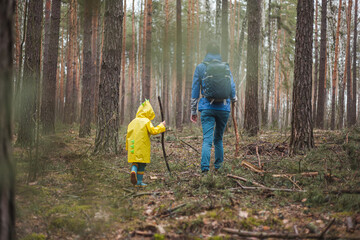 Mom and child walking in the forest after rain in raincoats with wooden sticks in hands, back view
