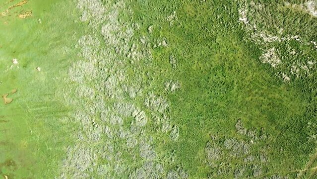 Vue a&eacute;rienne des pr&eacute;s-sal&eacute;s de la Baie de Somme dans le nord de la France