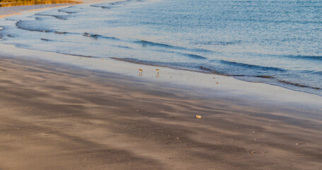 Early morning hour by the beach. Nature