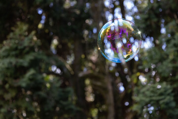 Beautiful Bubble Floating Into the Bushes