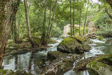 Obraz premium River that runs between green galician forests