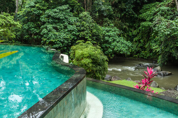 Balinese tropical green landscape