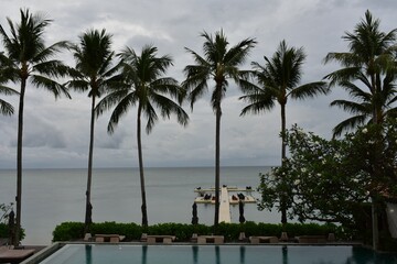 landscape of coconut trees and floating on the beach in rainy cloud  SAMUI  THAILAND