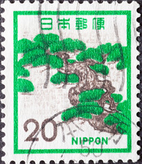 Japan- circa 1972: a postage stamp from Japan showing a Japanese Pine Tree