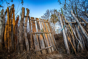 fence in the forest