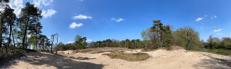 Sand dunes and forest panorama around Junne