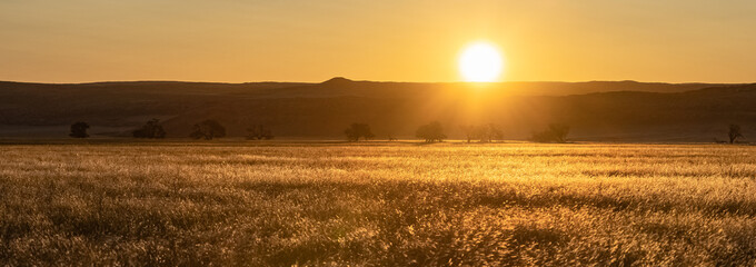 Namibia, panorama of the sunset on the Namib desert, wild landscape in the Dead Valley  © Pascale Gueret