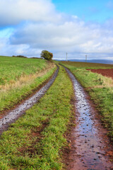 Fototapeta na wymiar Wet muddy tracks on a dirt road/path surrounded by green grass and fields near Potzbach, Germany on a cloudy fall day.