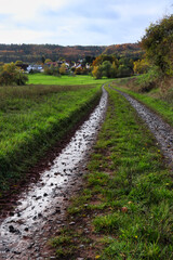 Fototapeta na wymiar Wet, muddy tracks on a road leading to a small village near the Palatinate forest of Germany on a fall day.