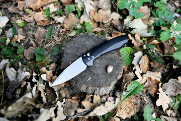 folding knife silver cutting stainless edge black handle green grass dry acorns stump macro background