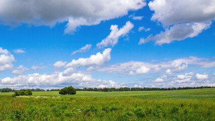 Large cumulus clouds over an agricultural meadow on a sunny summer day