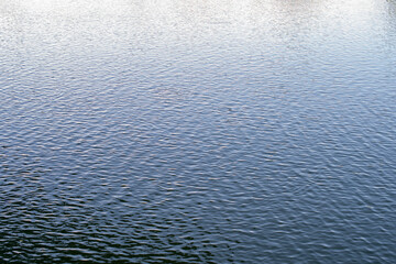Water surface with ripples and sunlight reflections