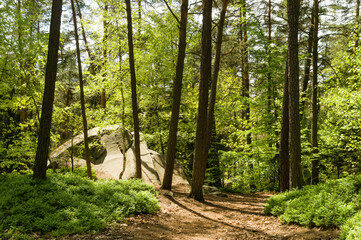 Hiking trail trhough Cesky raj aka Bohemian Paradise