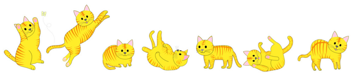 A collection of tabby cats in various positions with white background