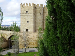 TORRE, CASTILLO, CORDOBA, MEDIEVAL, ARQUITECTURA, TURISMO