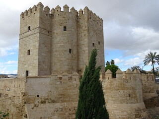 Naklejka premium TORRE, CASTILLO, CORDOBA, MEDIEVAL, ARQUITECTURA, TURISMO