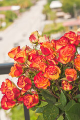 top view, close distance, of orange and red, baby roses  and green leaves in an orange vase on a tropical balcony