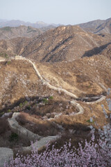 長城花海 ｜DA ZHUANG KE