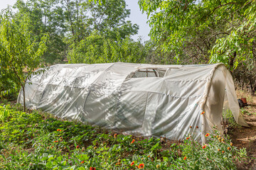 Greenhouse in a fertile area surrounded by vegetation