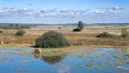 Park krajobzrazowy Bierzański © MagicEarthPlanet