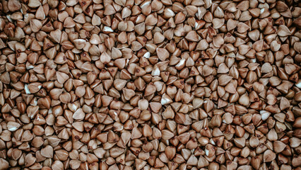 Close-up of buckwheat grains, buckwheat texture background. Natural healthy food, vegan diet
