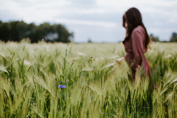 Young girl walks across the field. Blue flower in the foreground