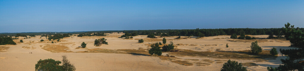 Fototapeta na wymiar Panoramic view on sandy plain