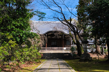 東京都豊島区 法明寺 本堂