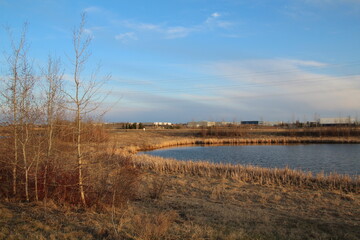 Evening On The Land, Pylypow Wetlands, Edmonton, Alberta