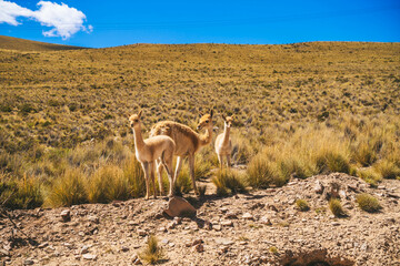 montaña colores