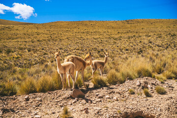 montaña colores