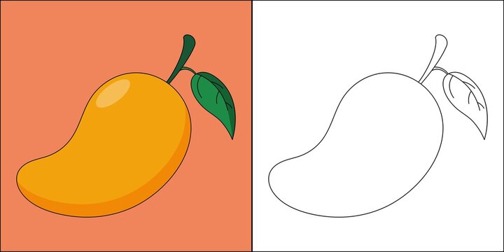 Ripe mango suitable for children's coloring page vector illustration