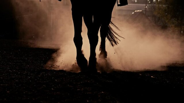 Close up horse hooves step ground at sunset. Dust and smoke swirls. Slow motion. Equestian sport and active lifestyle. Animals concept.