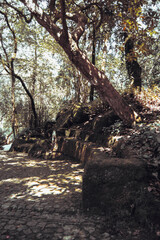 Un banco en el bosque