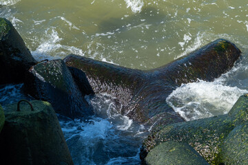 The Northern Breakwater in Liepaja, a close-up of tetrapods and splashing, splattering waves. Dolosse structure in the Baltic sea.