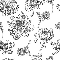 Seamless pattern with monochrome .chrysanthemums. Vector trendy print.