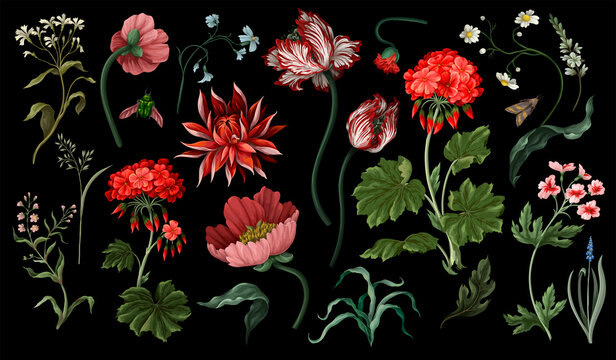 Botanical victorian flowers and bugs isolated. Tulip, peony and other.