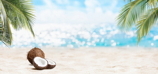 Natural tropical seascape with palm tree, coconut summer beach background. Blurred bokeh sun light of calm sea. Travel vacation panoramic view concept