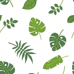 Tropical leaves foliage, monstera and fern vector