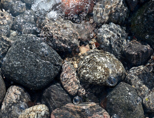 Stones under meltwater on a sunny day