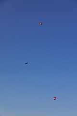 Colorful hot air balloons in the sky