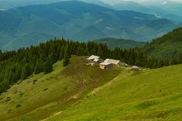 Fototapeta na wymiar The beauty of the Ukranian Carpathian Mountains