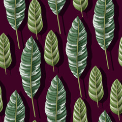 Seamless pattern with tropical striped leaves. Vector.