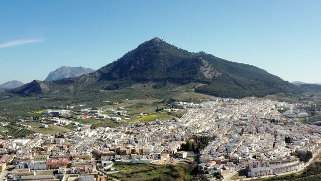survol d'une plaine de champs d'oliviers en Andalousie dans le sud de l'Espagne