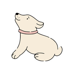 Cute funny puppy in collar asking for feeding it. Great for web design, instructions, cards and apps.