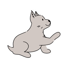 Cute funny puppy terrier asking for feeding it. Great for web design, instructions, cards and apps.