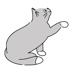 Cute funny grey domestic cat asking for feeding it. Great for web design, instructions, cards and apps.