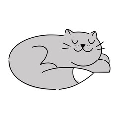 Cute funny sleeping and relaxing fluffy cat. Great for web design, instructions, cards and apps.